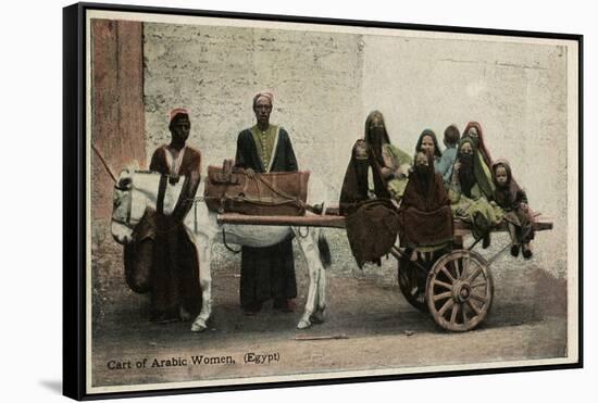 Native Transport in Egypt-null-Framed Stretched Canvas