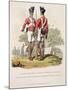 Native Troops in the East India Company's Service, 1815-Charles Hamilton Smith-Mounted Giclee Print