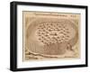 Native Village in Florida from the Discourse of Florida, 1563-Theodore de Bry-Framed Giclee Print