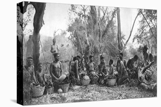 Native Women with Baskets of Hippo Meat, Karoo, South Africa, 1924-Thomas A Glover-Stretched Canvas