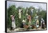 Native Workers Harvesting Coffee in Costa Rica, c.1800-null-Framed Stretched Canvas