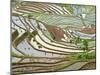Native Yi People Plant Flooded Rice Terraces Near Laomeng Town, Jinping, Yunnan, China-Charles Crust-Mounted Photographic Print