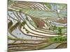 Native Yi People Plant Flooded Rice Terraces Near Laomeng Town, Jinping, Yunnan, China-Charles Crust-Mounted Photographic Print