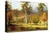 Natives in the Eucalypt Forest on Mills Plains, Patterdale Farm-John Glover-Stretched Canvas