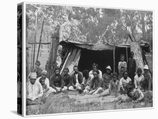 Natives of Queensland, Australia, Late 19th Century-John L Stoddard-Stretched Canvas