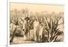 Natives on Maguey Plantation, Mexico-null-Framed Art Print