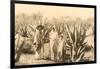 Natives on Maguey Plantation, Mexico-null-Framed Art Print