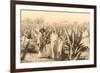 Natives on Maguey Plantation, Mexico-null-Framed Art Print