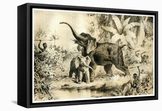 Natives Spearing an Elephant, 1883-null-Framed Stretched Canvas
