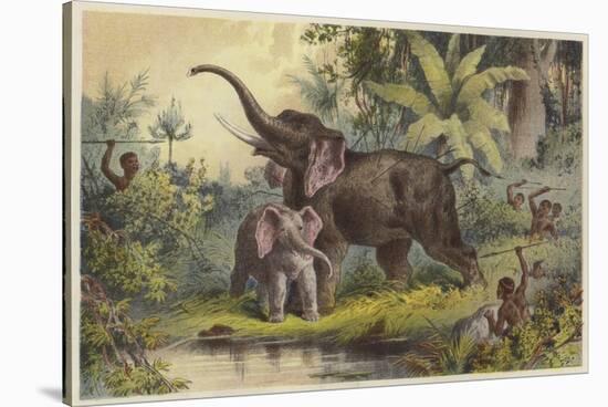 Natives Spearing an Elephant-null-Stretched Canvas