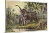 Natives Spearing an Elephant-null-Stretched Canvas