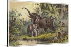 Natives Spearing an Elephant-null-Stretched Canvas