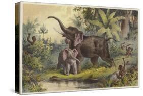 Natives Spearing an Elephant-null-Stretched Canvas