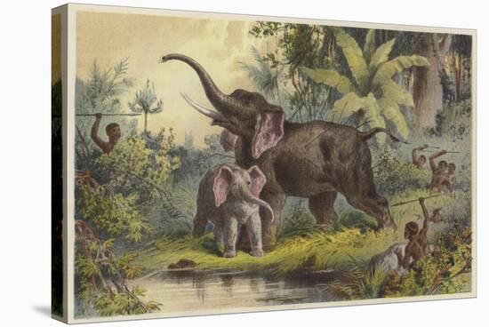 Natives Spearing an Elephant-null-Stretched Canvas