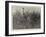 Natives Stalking Hartebeeste in South Africa, Result, a Good Bag-Joseph Nash-Framed Giclee Print