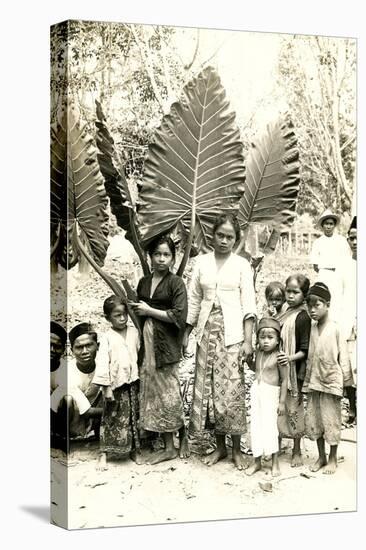 Natives with Giant Leaves-null-Stretched Canvas