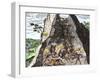 Natives Working in the Spanish Mines of Mexico-null-Framed Giclee Print