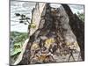 Natives Working in the Spanish Mines of Mexico-null-Mounted Giclee Print