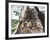 Natives Working in the Spanish Mines of Mexico-null-Framed Giclee Print