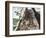 Natives Working in the Spanish Mines of Mexico-null-Framed Giclee Print