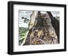 Natives Working in the Spanish Mines of Mexico-null-Framed Giclee Print