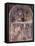 Nativity and Saints, Fresco-Gaudenzio Ferrari-Framed Stretched Canvas