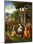 Nativity, Ca 1515-Lorenzo Leonbruno-Mounted Giclee Print