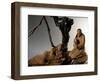 Nativity, Nativity Scene Ten Past Midnight-Virginio Livraghi-Framed Giclee Print