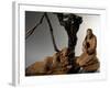 Nativity, Nativity Scene Ten Past Midnight-Virginio Livraghi-Framed Giclee Print