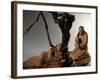 Nativity, Nativity Scene Ten Past Midnight-Virginio Livraghi-Framed Giclee Print