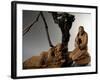 Nativity, Nativity Scene Ten Past Midnight-Virginio Livraghi-Framed Giclee Print