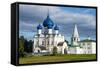 Nativity of the Virgin Cathedral, UNESCO World Heritage Site, Suzdal, Golden Ring, Russia, Europe-Michael Runkel-Framed Stretched Canvas