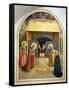 Nativity, with St. Catherine of Alexandria and St. Peter the Martyr, 1442-Fra Angelico-Framed Stretched Canvas