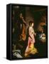 Nativity-Federico Barocci-Framed Stretched Canvas