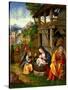 Nativity-Lorenzo Leonbruno-Stretched Canvas