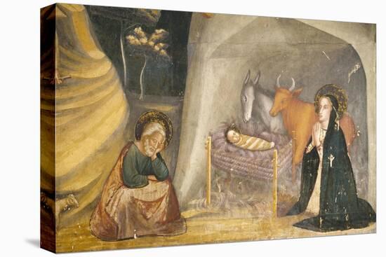 Nativity-Ferrer Bassa-Stretched Canvas