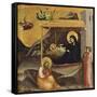 Nativity-Taddeo Gaddi-Framed Stretched Canvas