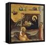 Nativity-Taddeo Gaddi-Framed Stretched Canvas