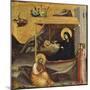 Nativity-Taddeo Gaddi-Mounted Giclee Print