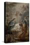 Nativity-Carle van Loo-Stretched Canvas