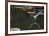 Natterer's Bat (Myotis Nattereri) About to Drink from the Surface of a Lily Pond, Surrey, UK-Kim Taylor-Framed Photographic Print