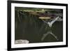 Natterer's Bat (Myotis Nattereri) About to Drink from the Surface of a Lily Pond, Surrey, UK-Kim Taylor-Framed Photographic Print