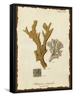 Natura Coral I-Johann Esper-Framed Stretched Canvas