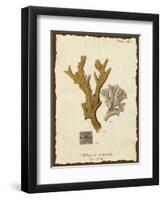 Natura Coral I-Johann Esper-Framed Art Print