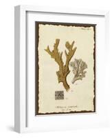 Natura Coral I-Johann Esper-Framed Art Print