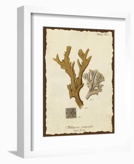 Natura Coral I-Johann Esper-Framed Art Print