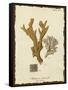 Natura Coral I-Johann Esper-Framed Stretched Canvas