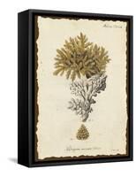 Natura Coral III-Johann Esper-Framed Stretched Canvas