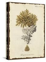 Natura Coral III-Johann Esper-Stretched Canvas