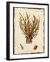 Natura Coral V-Johann Esper-Framed Art Print